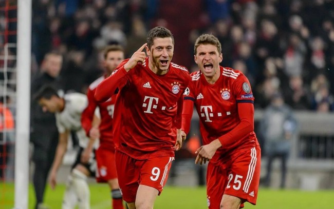 球迷关注的 球迷关注的